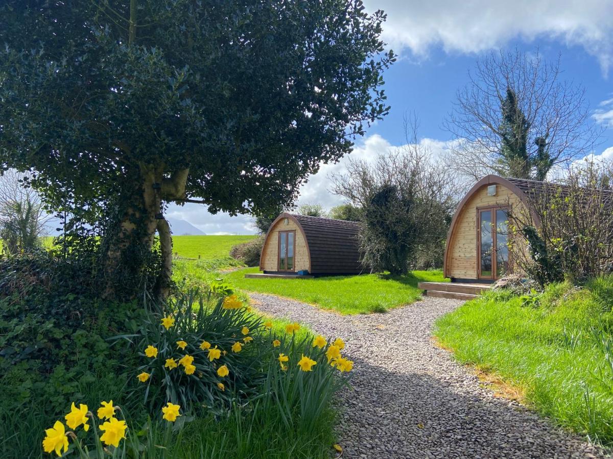 Hotel Farmyard Lane Glamping à Killarney Extérieur photo