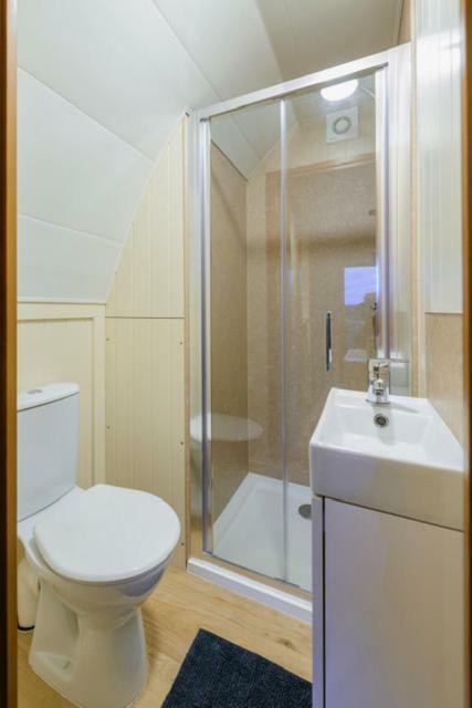 Hotel Farmyard Lane Glamping à Killarney Extérieur photo